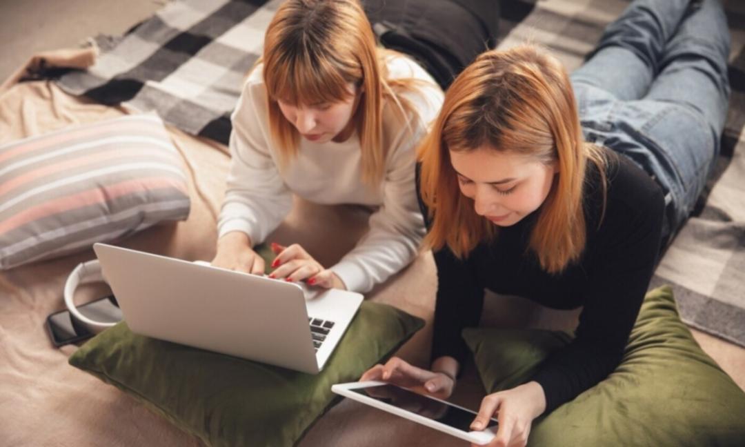 Sesión de análisis de backlinks